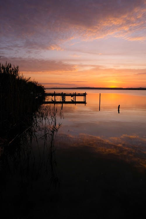 神眼邪醫(yī)小說(shuō)by天下江水張和安蕭幼晴目錄閱讀