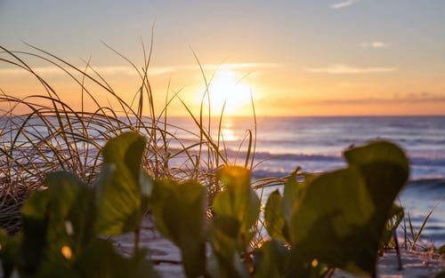 詞語(yǔ)錯(cuò)位例析