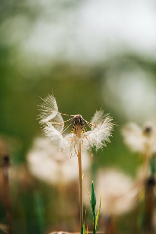 欣賞自己，就是幸福的開始人生哲理
