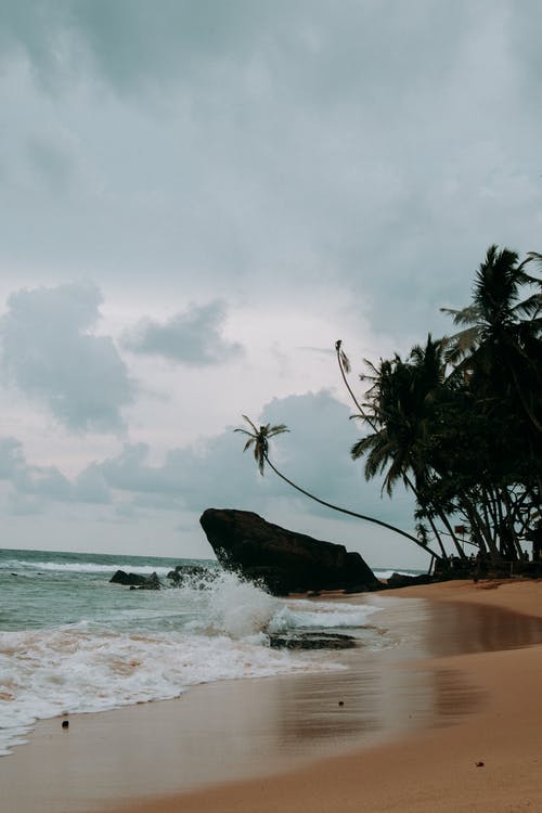 兩生花經(jīng)典臺(tái)詞大全