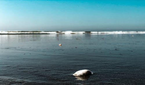 五年級(jí)觀后感《地道戰(zhàn)》觀后感