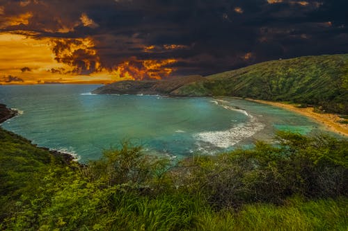 風(fēng)原文、翻譯及賞析