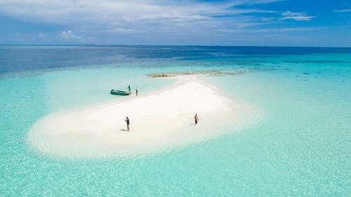 【精選】四年級日記模板匯總5篇