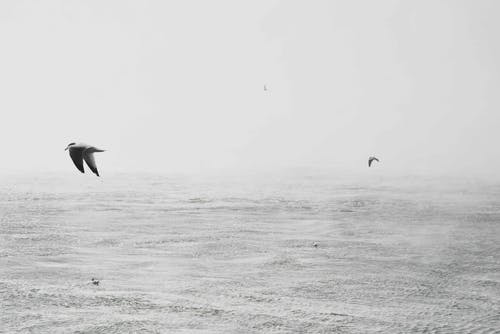 逆襲龍庭戰(zhàn)神小說韓晨江夢瑩無錯版閱讀