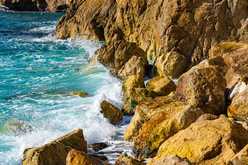 虐情陸柔沈從安小說后悔難及全本閱讀