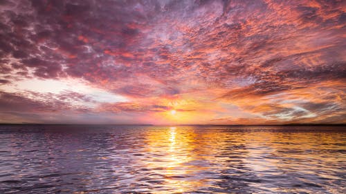 寫作基礎(chǔ)：引導(dǎo)學(xué)生學(xué)“用典 ”