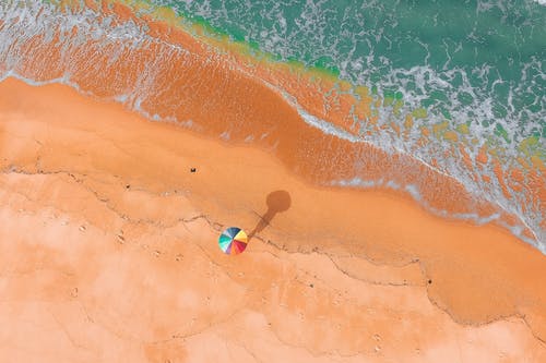 五年級小說彼岸復仇第四章