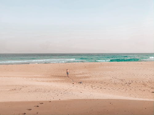 關(guān)于古詩的作文300字錦集5篇