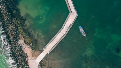 【實用】小學日記范文8篇