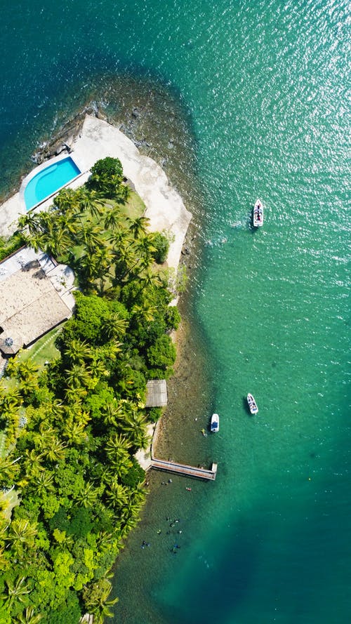 逆襲楊林王青青重生十年后小說無錯版閱讀 逆襲楊林王青青重生十年后小說無錯版閱讀