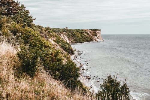 五年級讀后感《天藍色的彼岸》讀后感