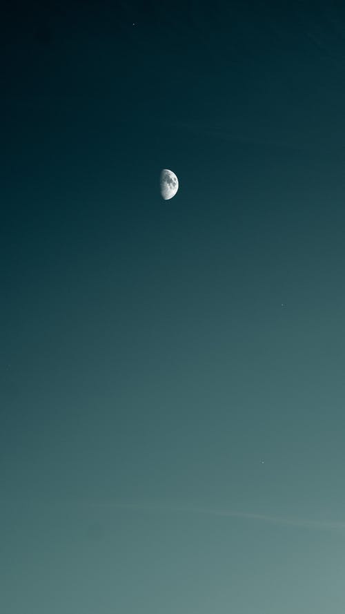 表達(dá)芒種快樂的祝福語錦集40條