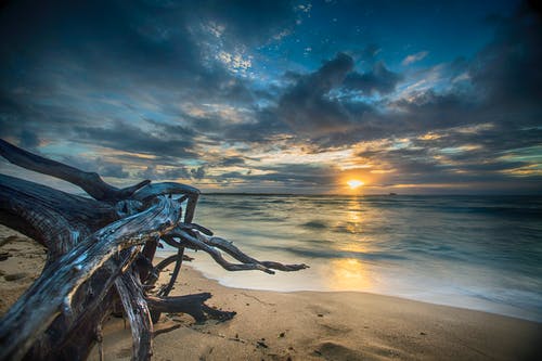 五年級(jí)狀物作文美味的下午點(diǎn)心