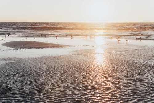 五年級想象作文未來的房子