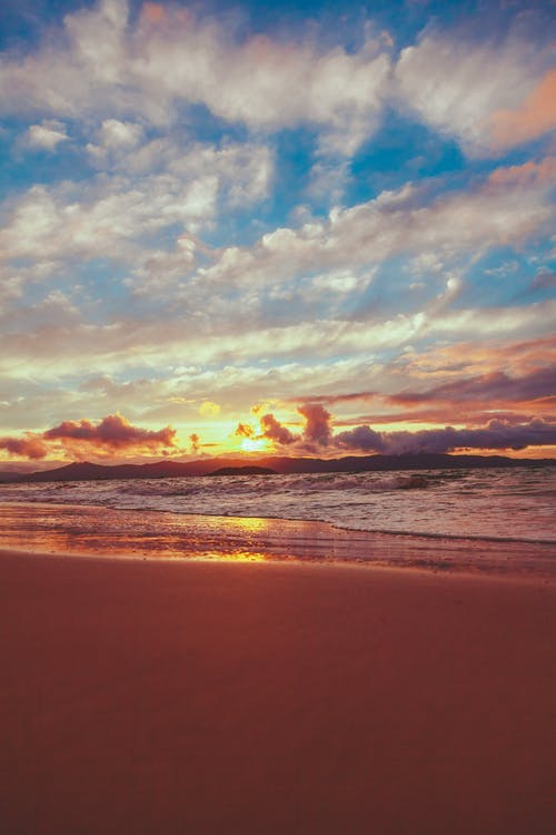 2010年高考語文選用和變換句式