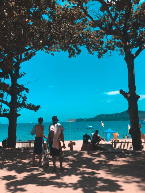 2021年祝植樹節(jié)快樂的祝福語錦集31句