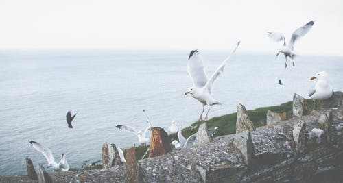 送梓州李使君譯文賞析詩(shī)詞