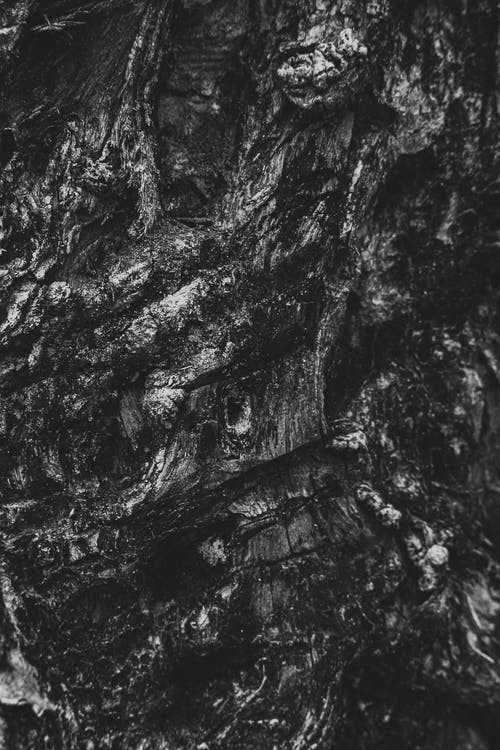 電影《終結(jié)者創(chuàng)世紀(jì)》經(jīng)典臺詞 電影《終結(jié)者創(chuàng)世紀(jì)》經(jīng)典臺詞