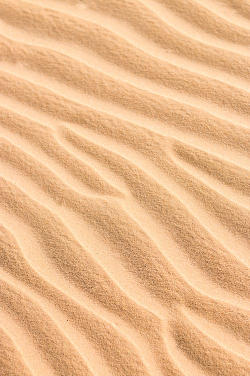 科幻原著緝魂小說(shuō)梁文超阿爆無(wú)刪減閱讀