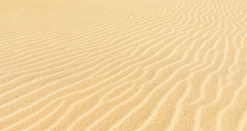 優(yōu)美的除夕祝福語23句