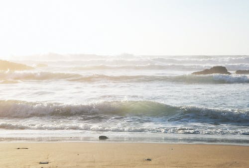 [講座分享]如何備戰(zhàn)2011小升初語文考試？