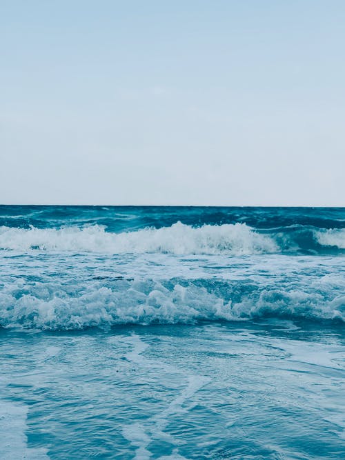 爆火沈家二小姐回國(guó)了小說沈語(yǔ)沐顧昱城季晧霆全集閱讀