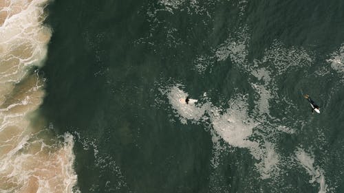 關(guān)于古詩作文500字5篇 關(guān)于古詩作文500字5篇