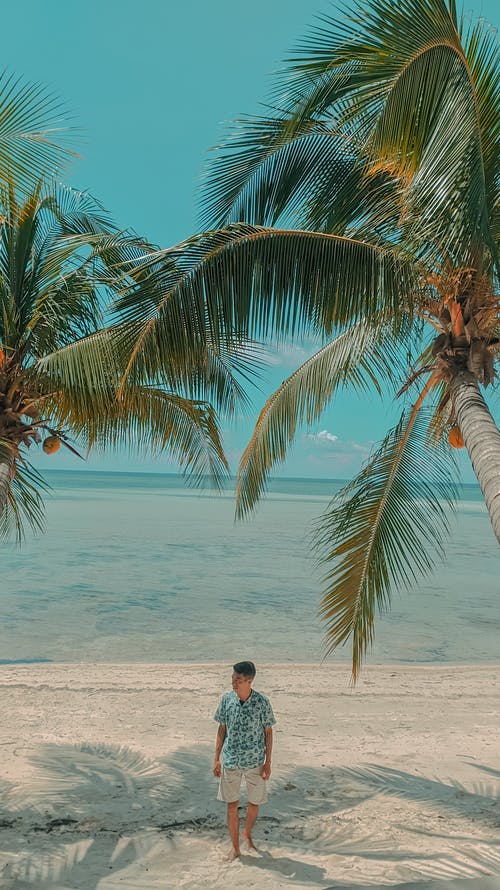 五年級(jí)寫景作文秘密花園