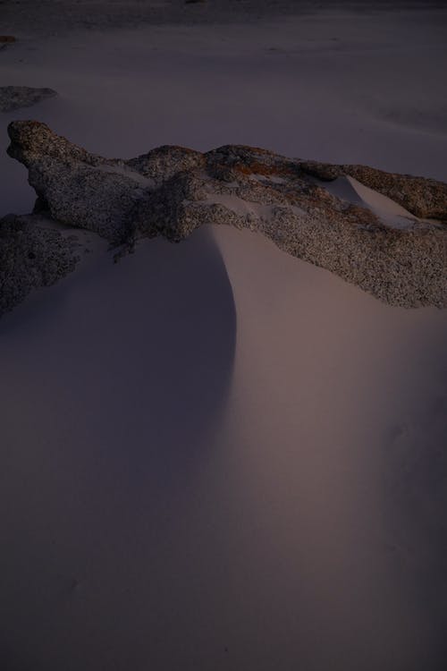 五年級寫人作文“啞巴”說話了