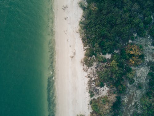 大上海經(jīng)典臺(tái)詞 大上海經(jīng)典臺(tái)詞