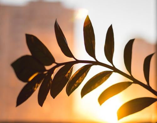 暖心谷雨祝福語錦集22句