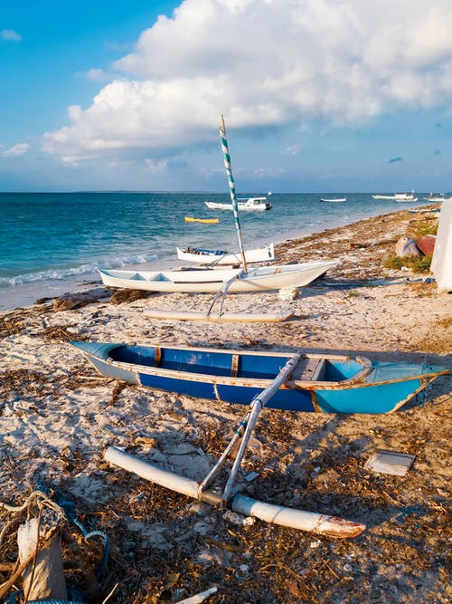 你我之間再無虧欠小說蘇溫酒顧向風全篇閱讀