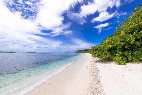 毒醫(yī)圣尊小說復仇華青云劉青桐無廣告閱讀