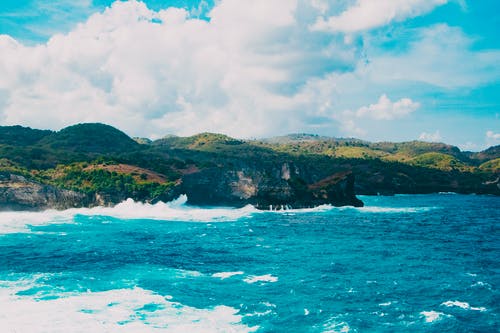 安國戰(zhàn)神小說豬頭三葉玄林溫柔章節(jié)閱讀