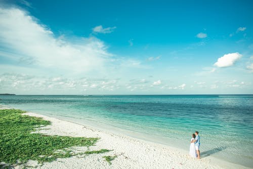 這個(gè)后宮不對(duì)勁小說(shuō)慕淺凌初無(wú)錯(cuò)版閱讀