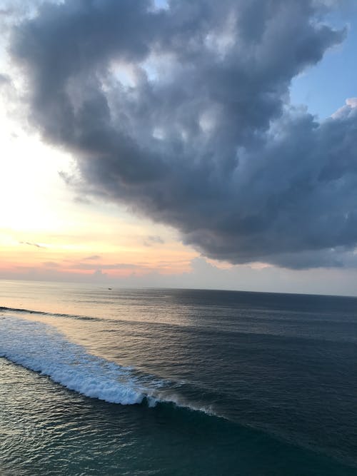 五年級期中考試作文假如我是一本書 五年級期中考試作文假如我是一本書