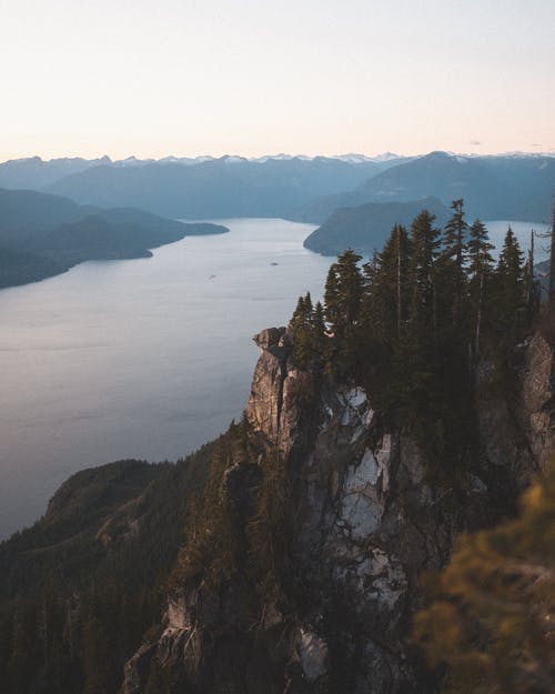 個性十足的元旦祝福語