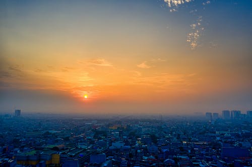 小學(xué)開學(xué)第一周日記