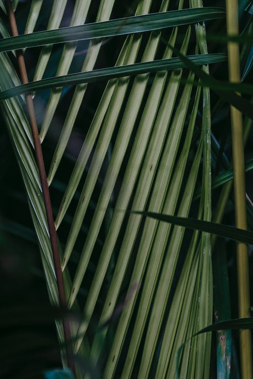 祝兒童節(jié)快樂的祝福語(yǔ)27句