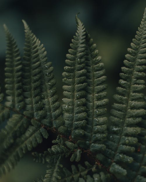 【精品】六年級日記范文集合九篇