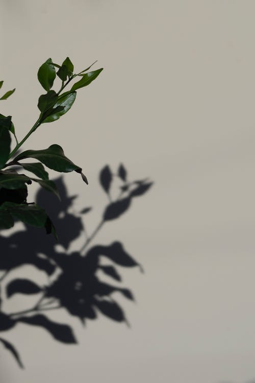 現(xiàn)代詩歌：外婆