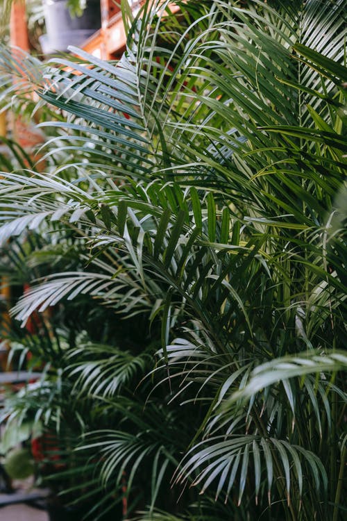 熱文上門贅婿是醫(yī)神小說蕭辰吳雅清無錯版閱讀