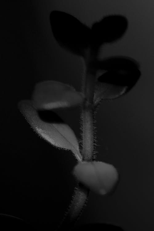 《永遇樂(lè)·舟中感舊》譯文及鑒賞