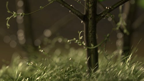 文言文狼原文及翻譯 文言文狼原文及翻譯