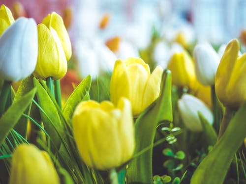 熱血修羅戰(zhàn)尊秦命小說秦命彩依無彈窗閱讀 熱血修羅戰(zhàn)尊秦命小說秦命彩依無彈窗閱讀