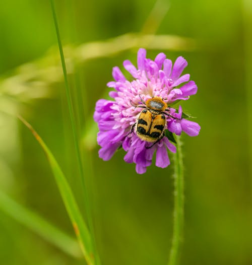 關(guān)于古詩作文500字6篇