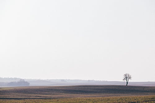 五年級日記小小推銷員