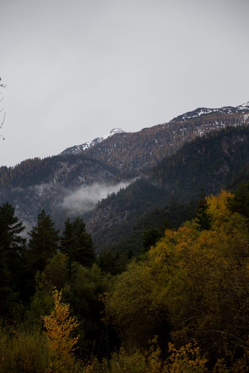 二年級日記模板集合5篇