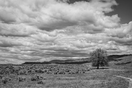 最愜意的時光心情美文 最愜意的時光心情美文