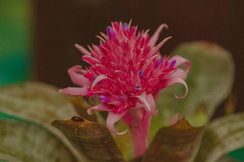 【熱門】心情日記集錦7篇